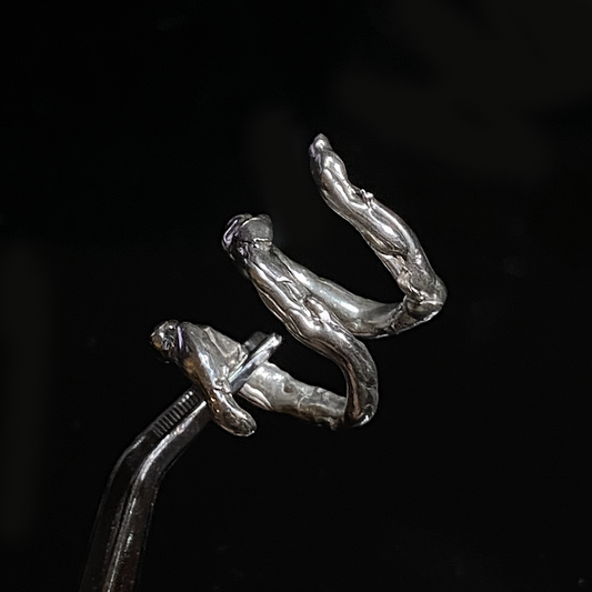 Triplets of Belleville Ring