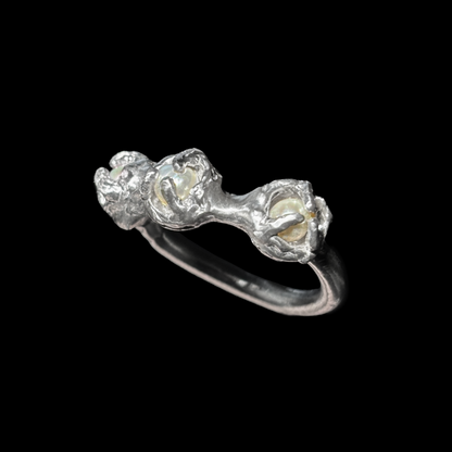 Ghost Dog Ring