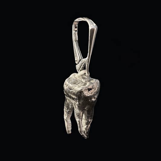 Robot Dreams Earring