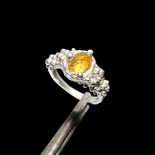 Tampopo Ring